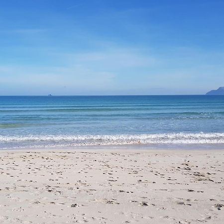 Ideal Property Mallorca - Cittadini 26 Port de Alcudia  Zewnętrze zdjęcie