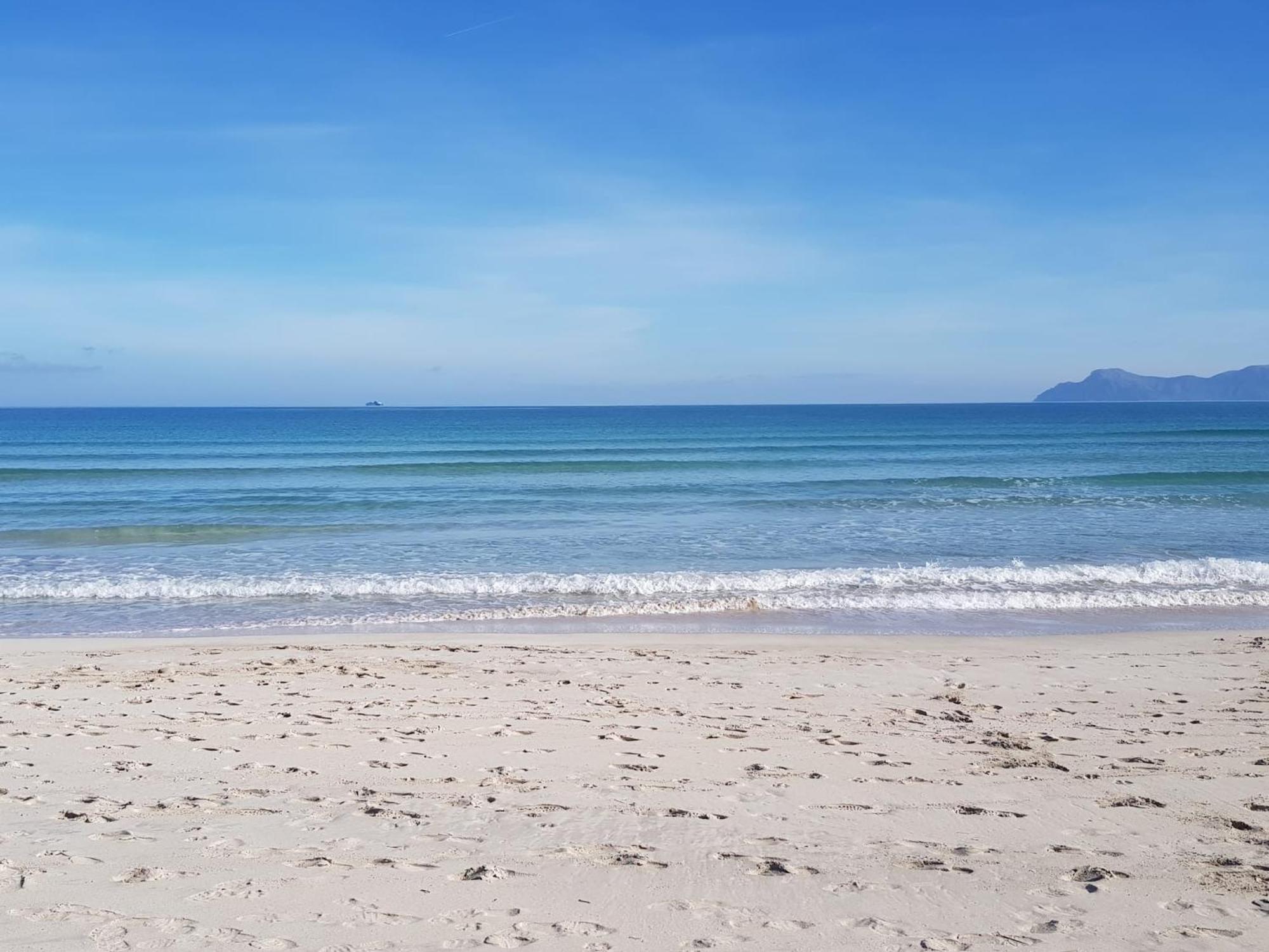 Ideal Property Mallorca - Cittadini 26 Port de Alcudia  Zewnętrze zdjęcie